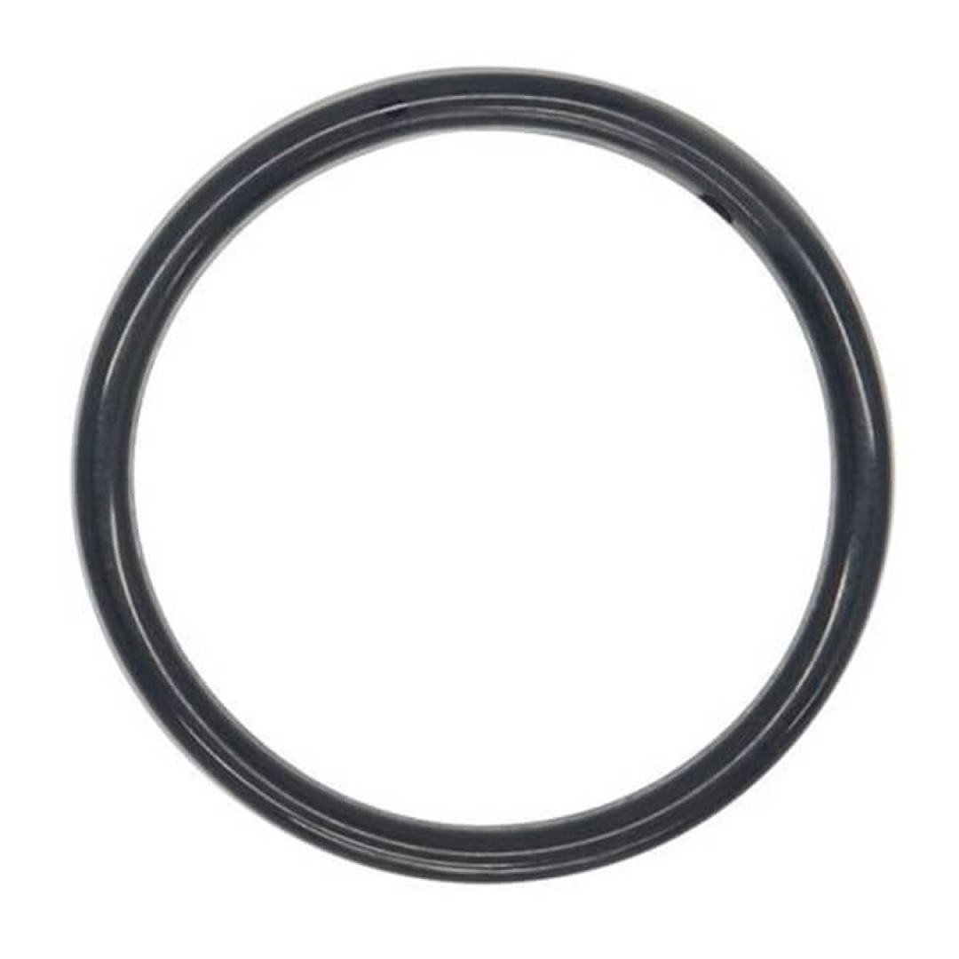 6581198Wilden O-rings-01.webp